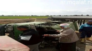 تغيرات جديدة في سعر البيضة بأسواق كفر الشيخ يوم الأربعاء 4 مارس